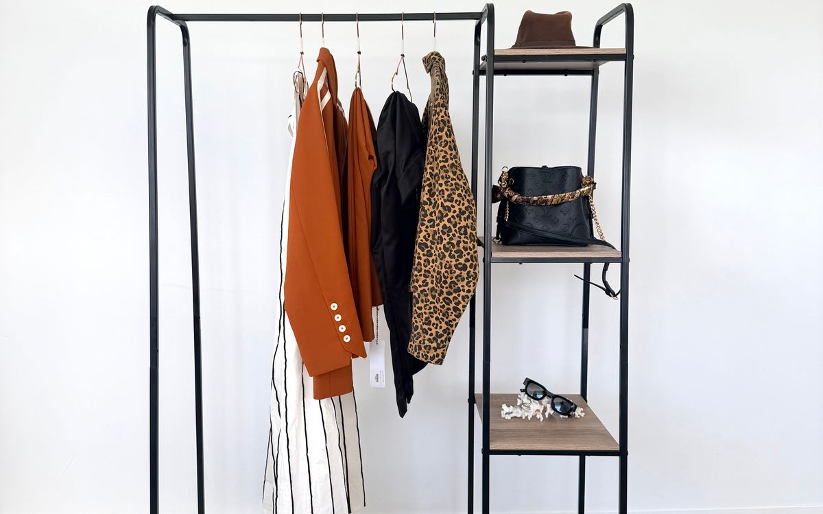 A minimalist wardrobe with stylish clothing display